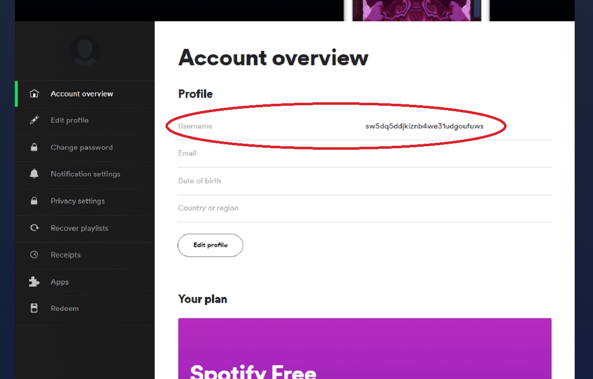 username spotify what it looks like