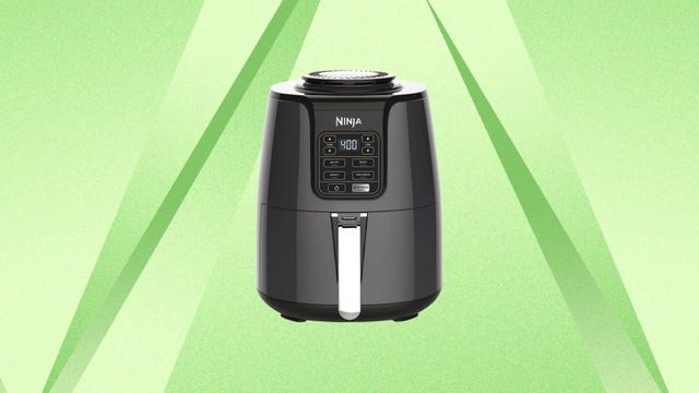 The Ninja Ninja 4-quart air fryer is displayed against a green background.