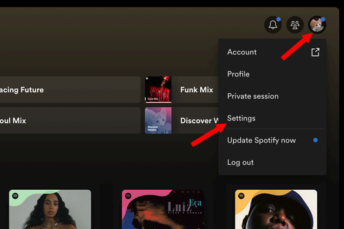 Entering the Spotify settings in the Spotify desktop app.