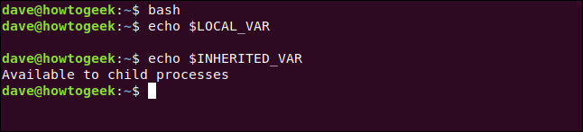 bash in a terminal window