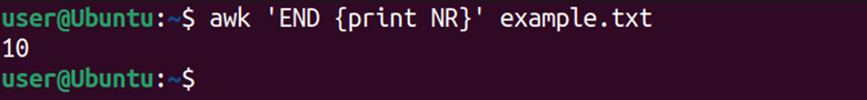 Linux terminal displaying the awk script to count lines.