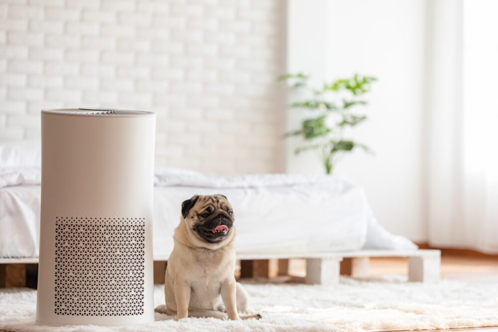 pet air purifier