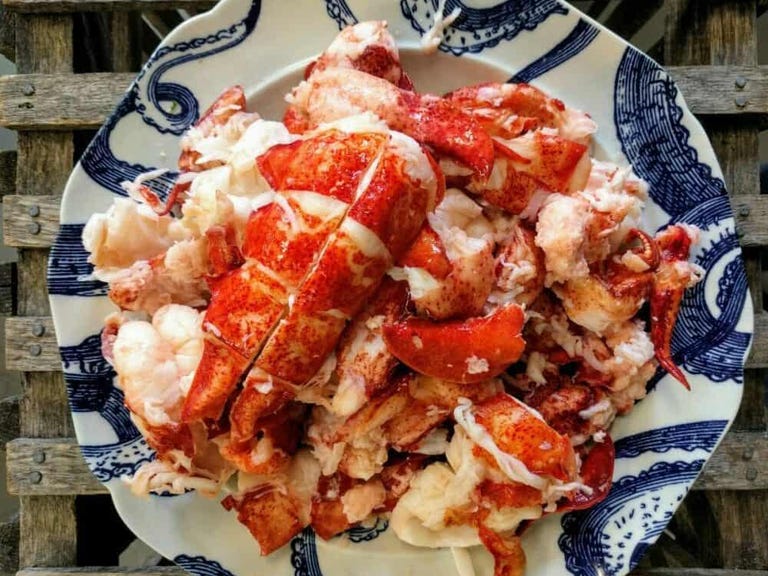 lobster-meat