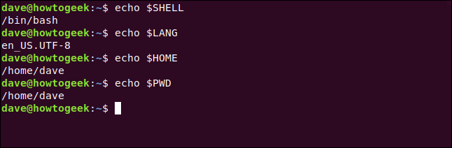 echo $SHELL in a terminal window