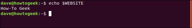 echo $WEBSITE in a terminal window