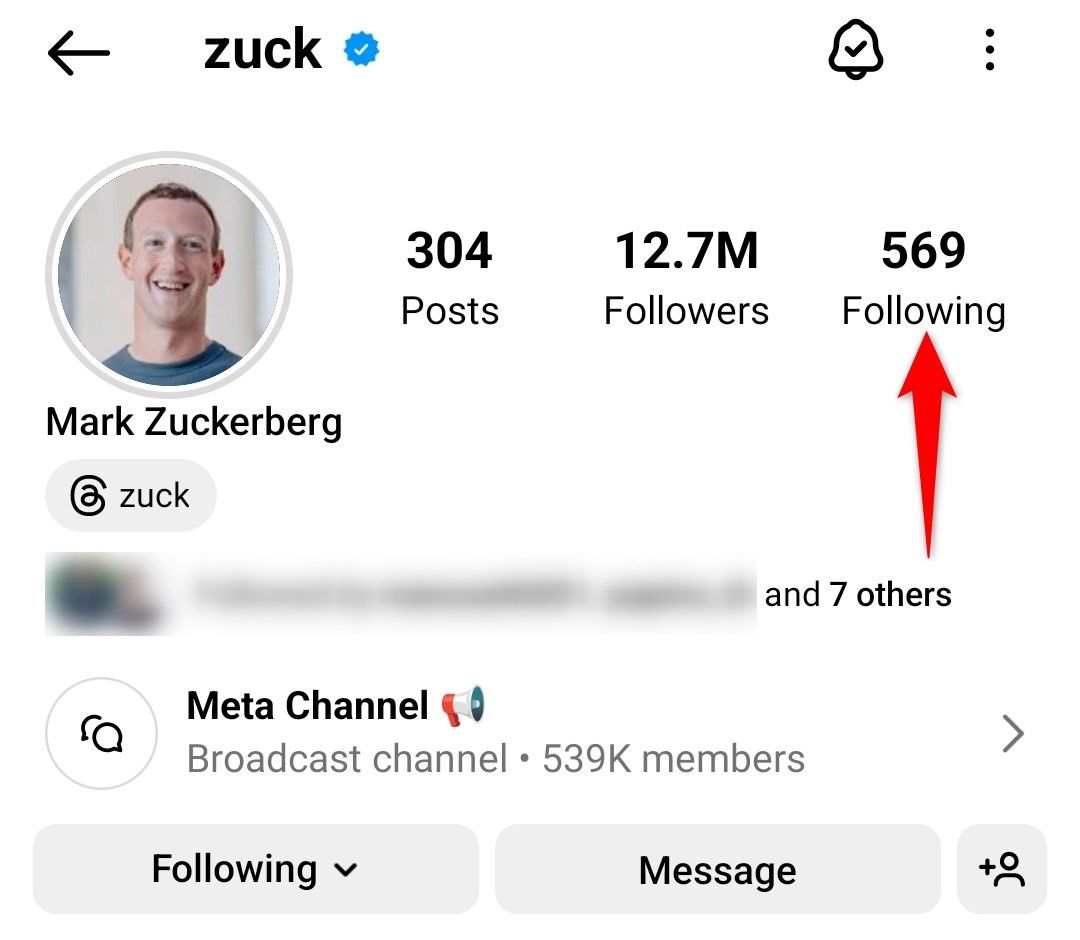 'Following' highlighted on an Instagram user's profile page.