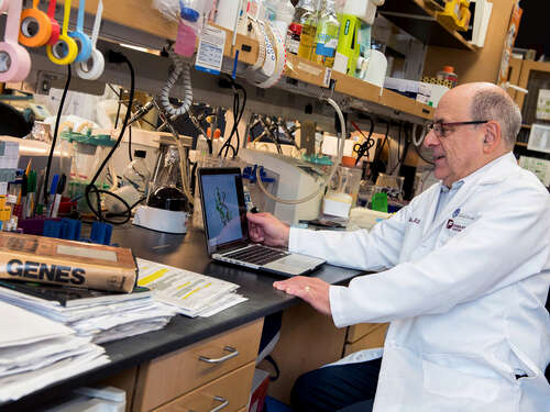 Dr Orkin in his lab in 2017