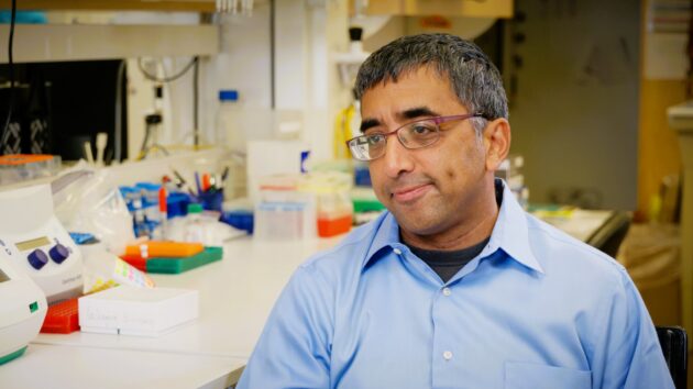 UW Medicine geneticist Jay Shendure in lab