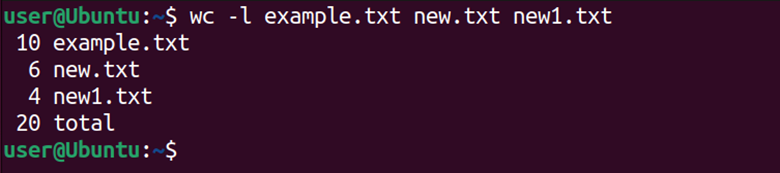 Linux terminal displaying the wc command having multiple text files as arguments.
