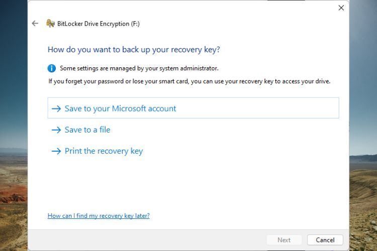 BitLocker offering several recovery key back up options.