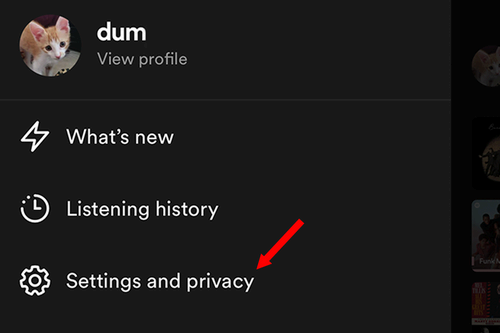 Entering the Settings and Privacy panel in the Spotify mobile app.