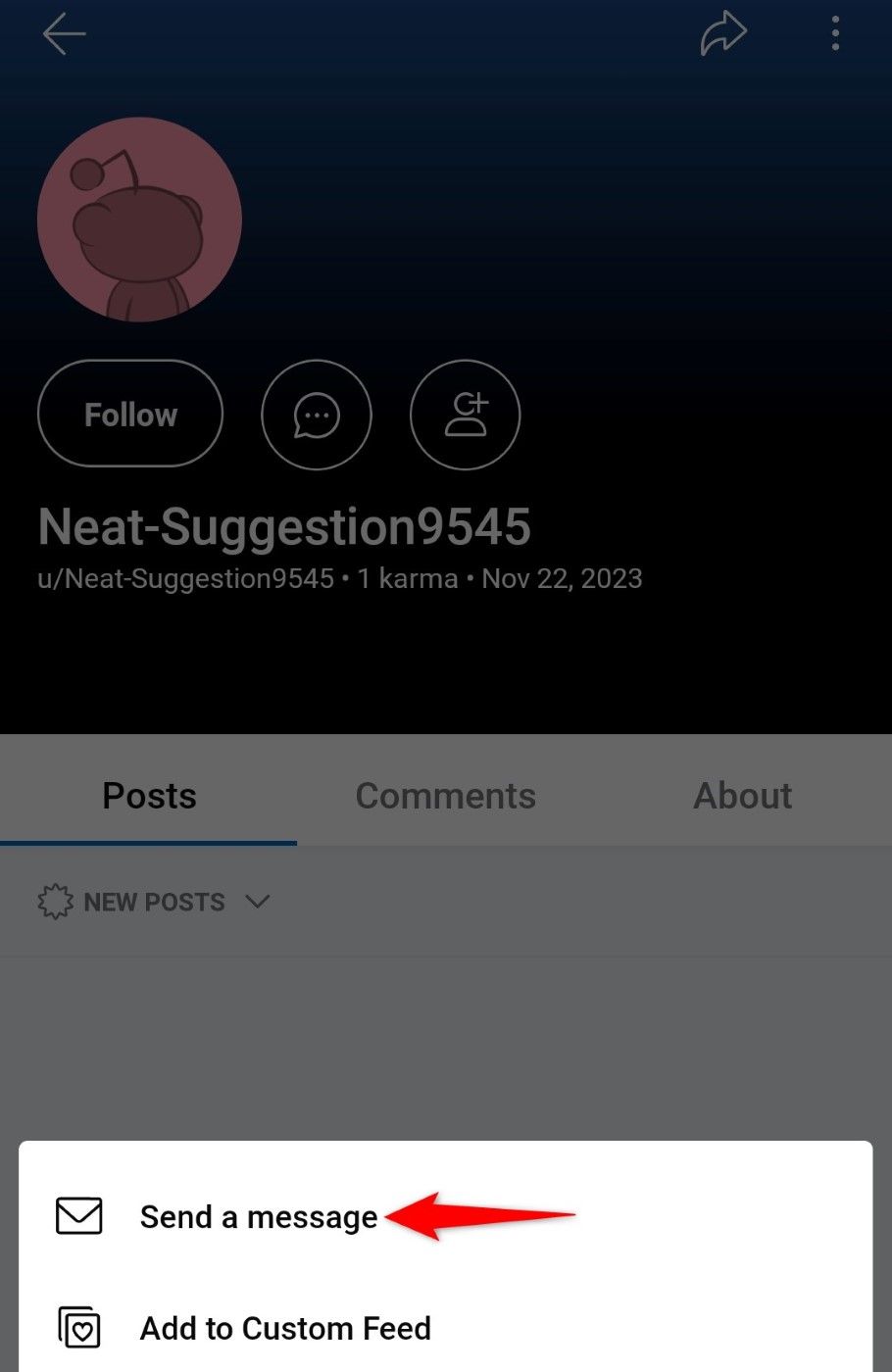 'Send a Message' highlighted on a user's profile page in Reddit for mobile.