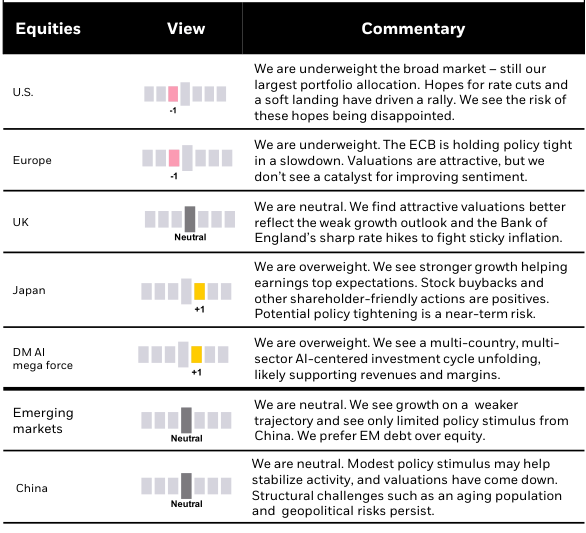 Six- to 12-month tactical views on selected assets vs. broad global asset classes by level of conviction, December 2023