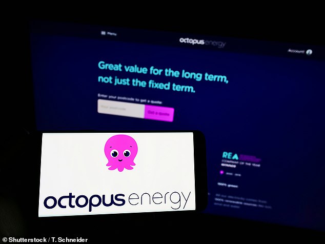Octopus seals the deal to buy 1.3m customers from Shell's household gas and electricity business