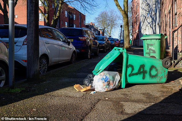 Trash talk: Nearly half of Britons get annoyed by their neighbours bad bin habits, according to Churchill Insurance