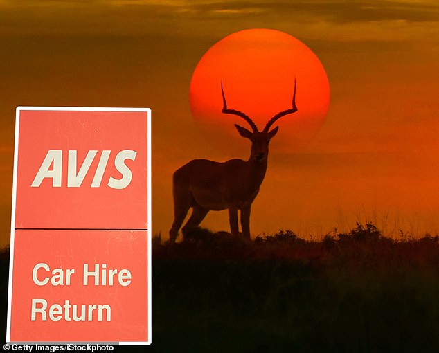 Counting the cost: Kate Barton had no idea until she returned home to the UK that Avis had taken a further £303 from her credit card