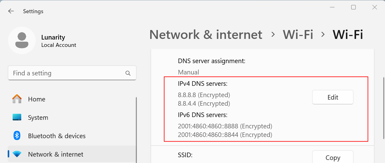 The DNS Server settings on Windows 11. 