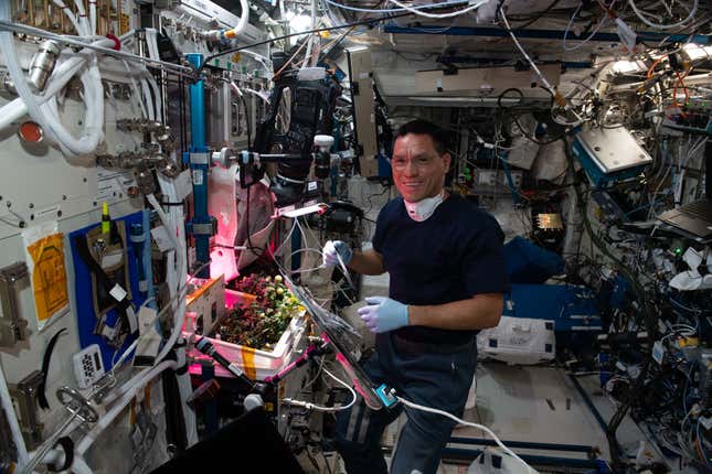 NASA astronaut Frank Rubio attending to his crops on the ISS.