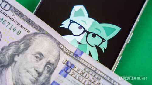 Stock photo of Mint Mobile fox on phone with money 2