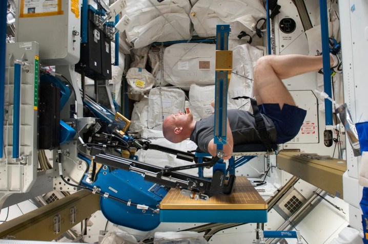 ESA (European Space Agency) astronaut Alexander Gerst gets a workout on the Advanced Resistive Exercise Device (ARED).