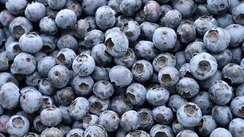 Blueberries