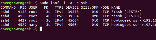 Files associated with the SSH process. 