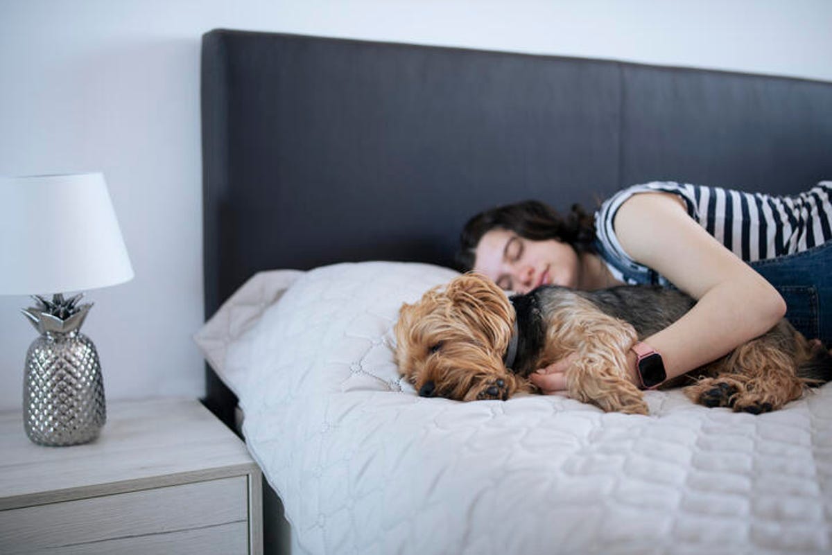 Woman sleeping next to her dog on a queen-sized bed.