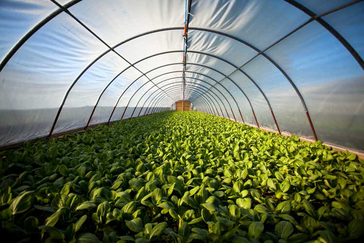 Organic greenhouse