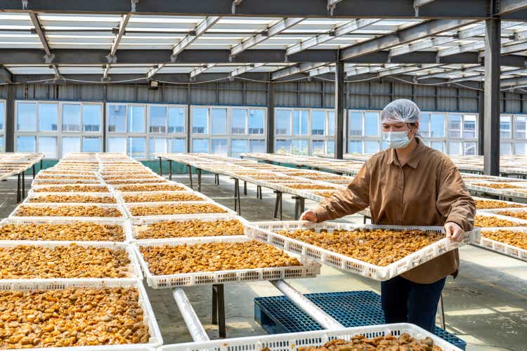 A female worker works in the sun drying room of a food processing factory