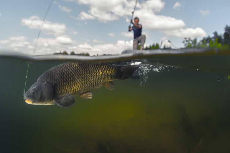 Man fishing on the lake