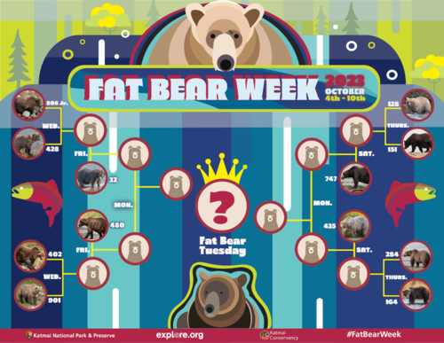 The 2023 Fat Bear Week bracket.