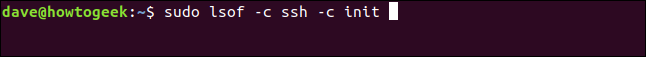 Checking the files opened by the SSH process. 