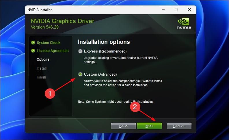 Nvidia Graphics Driver installer prompt with the Custom Option selected 