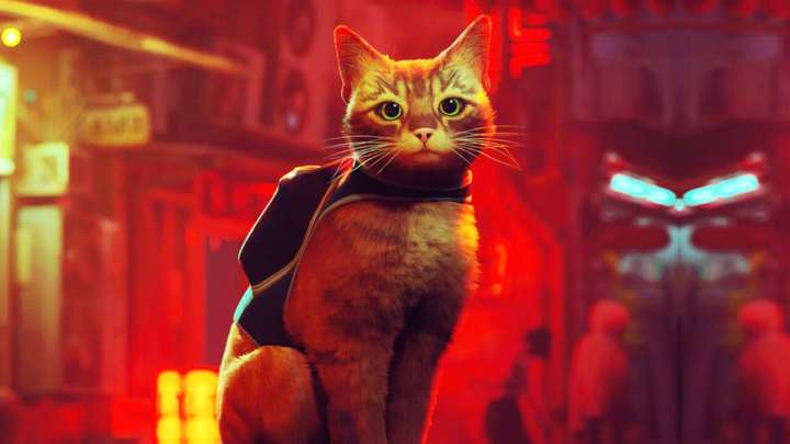 The main cat from Stray looking into the foreground with cyberpunk buildings behind him