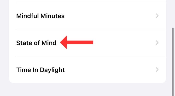 Screenshot of the Health app with an arrow next to State of Mind option.