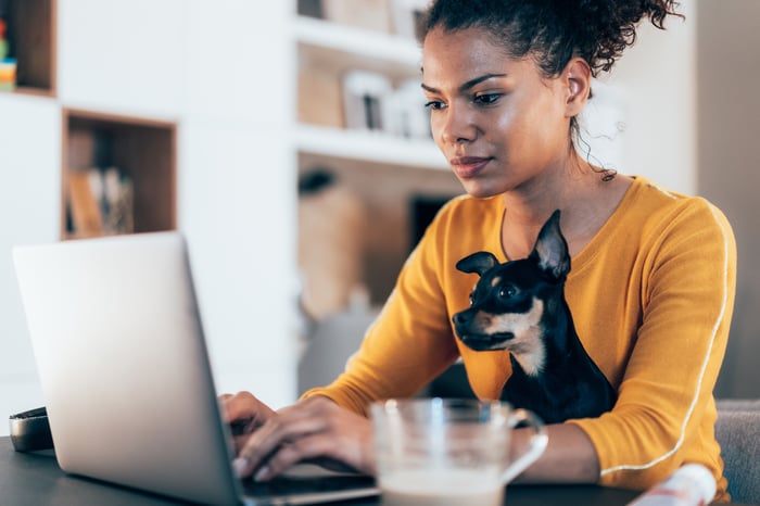 A person typing on a laptop in their home, with a small dog sitting on their lap.