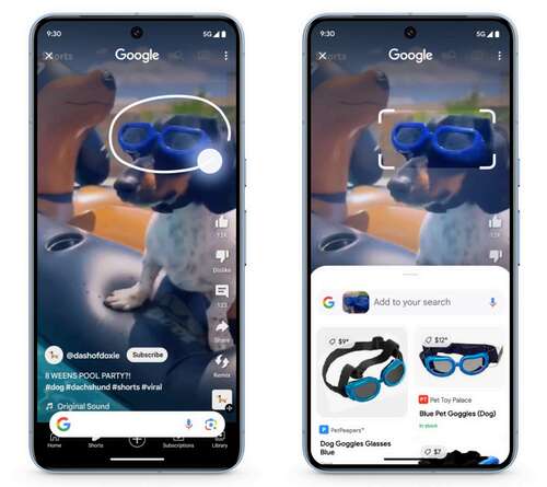 Dog wearing goggles while phone screen displays Google's search result for similar goggles.