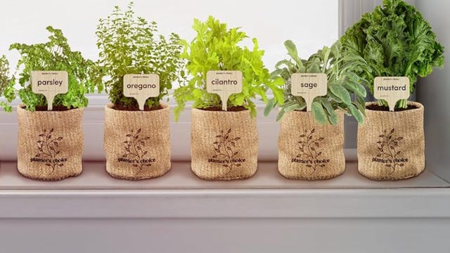 herb bags on window