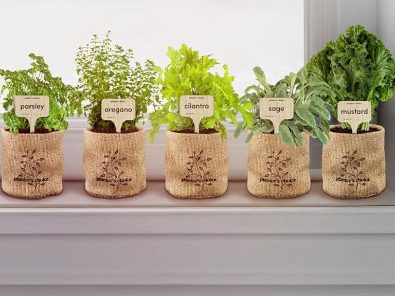 herb bags on window