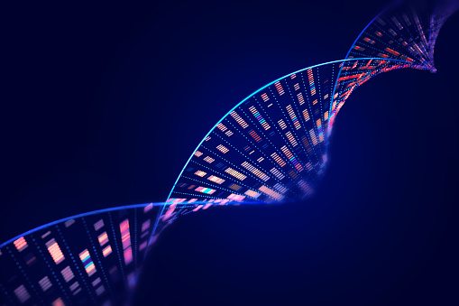 Human genome analysis DNA molecular structure