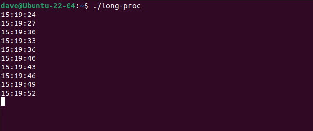 The long-proc program running a terminal window