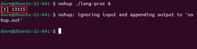 luanching the long-proc program with nohup and making it a background task