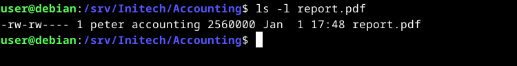 A terminal window showing file listing output on Debian.