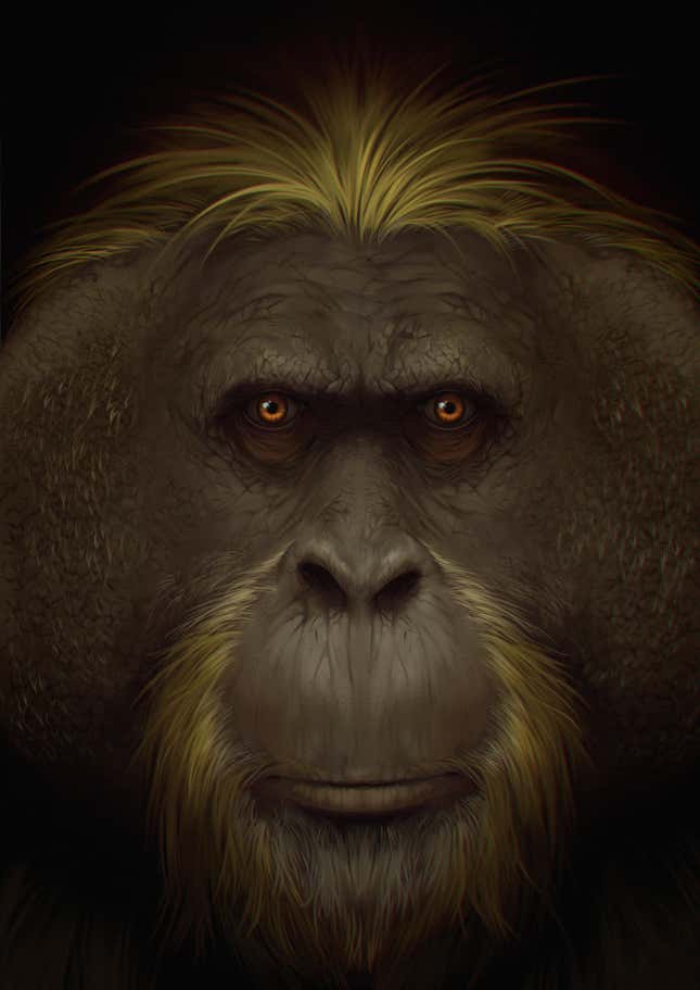 An artist's concept of G. blacki's face.