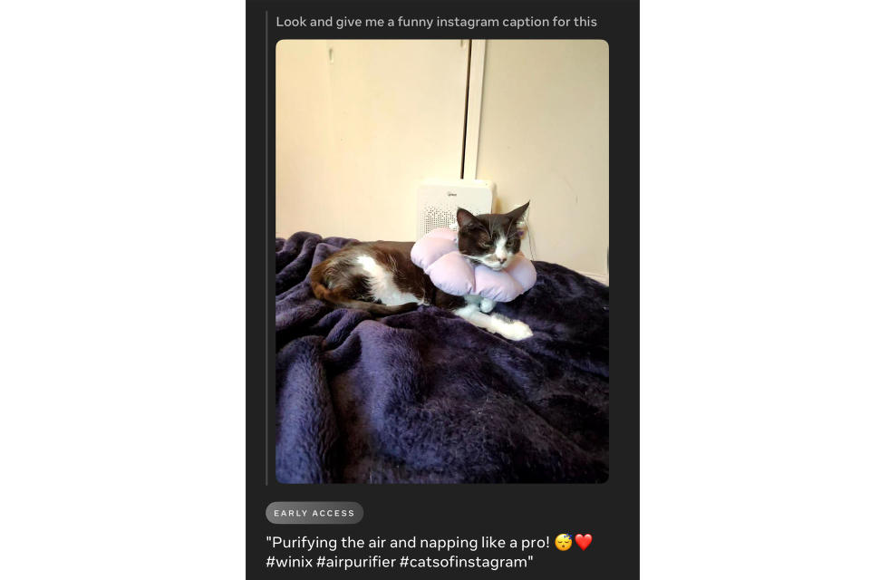 Meta AI's suggestion for a funny Instagram caption for a photo of my cat.