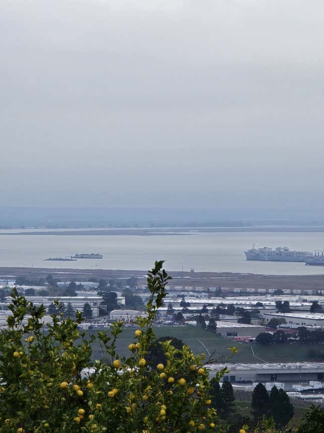 Before and after shot of the boats in the bay being remove using AI editing tools. 