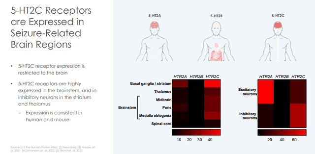 5-HT2C Receptors