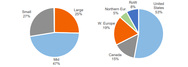 Gross Exposure by Market Cap & Geography (Total Portfolio)