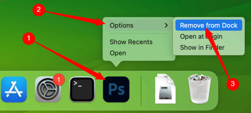 RIght-click the icon on your Dock, go to 'Options,' then select 'Remove from Dock.'