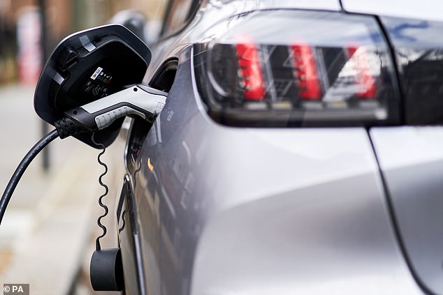 Service stations have started to employ marshals to deal with the frustrated motorists who are stuck in the long lines which snake across their forecourt